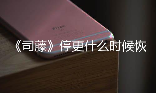 播出 大恢复藤停更更新司什么时候时间结局揭秘