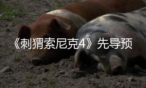 先导袭来猬索空降尼克重磅新预告刺强势角色