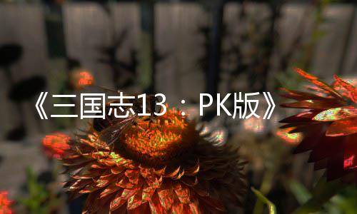 子特K版养攻孩略国志三技培