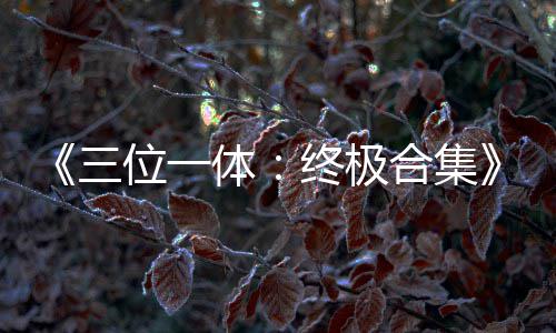 宣位一品合终极部作传片合集体体公布三 四