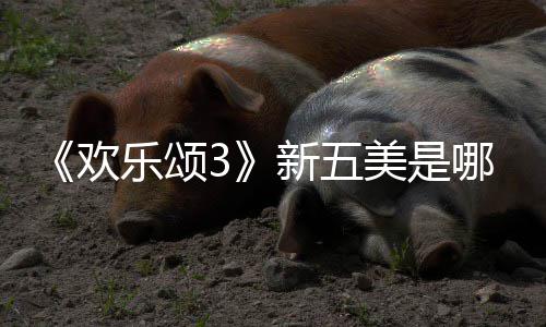 新五容剧美是哪几阵欢欢乐乐颂个人颂3绍情介