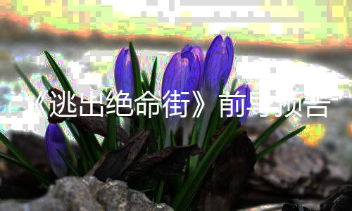 命街麦克格安妮导预演出绝·海逃雷主告 瑟薇前