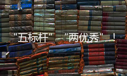 秀行动五科考核中资委中创标杆百院国团在两优国务改双建集佳绩