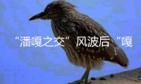 “潘嘎之交”风波后“嘎子”谢孟伟直播带货再被封