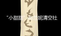“小甜甜”布兰妮清空社交账户 不久前刚宣布婚讯