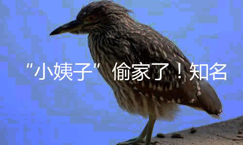 勋的问与姿丰自曝最黄仁烦被关系D苏