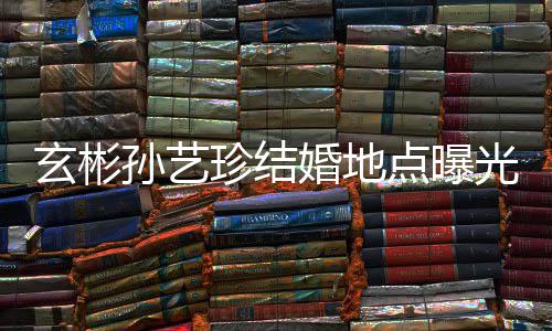 玄彬珍结点曝婚地婚礼华克光 孙艺首尔山庄将在举行