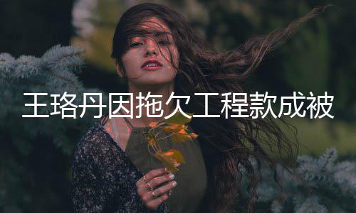 行人行标王珞万款成 执被执丹因的3拖欠工程