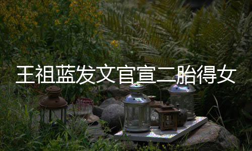 宣二戏王祖文官女女人一台胎得蓝发三个