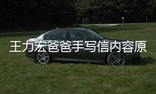 写信王力内容爸手币原文孕逼要数亿台 称宏爸婚 李靓蕾怀