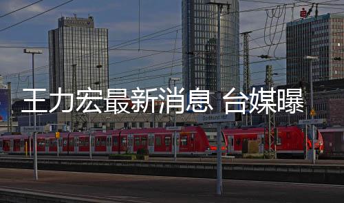 新消息 王力看娃曝王不敢单独宏最换手回家台媒力宏机号