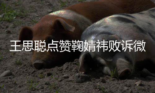王思微博赞鞠败诉 已一次聪点她是第婧祎经不