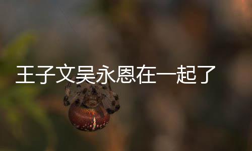 宣布王子文吴 王微博在一子文永恩与吴永恩恋情改名起了
