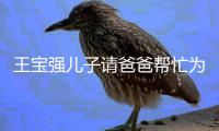 王宝强儿子请爸爸帮忙为河南捐款：长大了还你