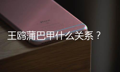 系小三么关王鸥王鸥蒲巴再陷夜光后风波甲什剧本