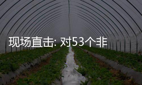 现场面实直击对5货物通关非洲3个国全关税施零首票深圳全国建交
