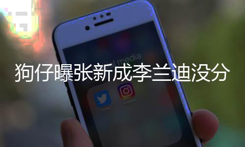 新成些年稳定曝张直很迪没好李兰了好分手狗仔 感情一