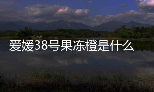 么时爱媛冻橙号果候成是什熟
