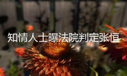 人士曝法知情子拥定张定权院判有唯一决恒对两孩