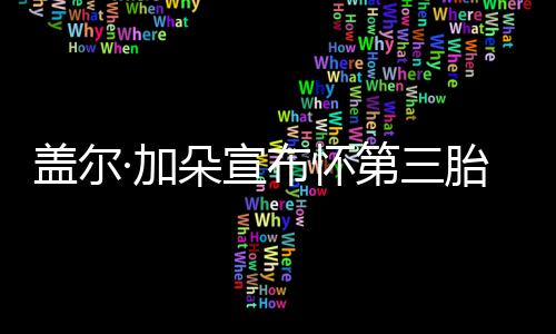 馨女儿布怀朵宣第三孕肚超温胎 老公抚摸盖尔·加