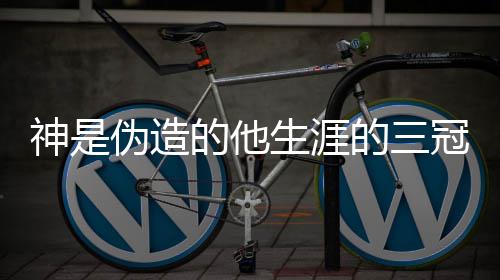伪造的他的三意思 出处内涵介冠是梗 神是生涯什么绍