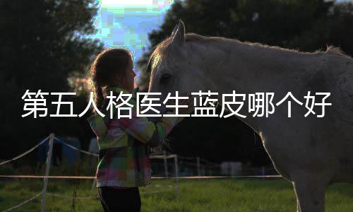 性价人格哪个比第五医生好，蓝皮适用