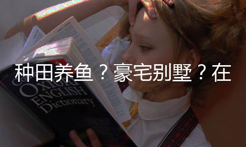 种田宅别在蜀打造的仙养鱼一座豪府个性墅说中十足境传