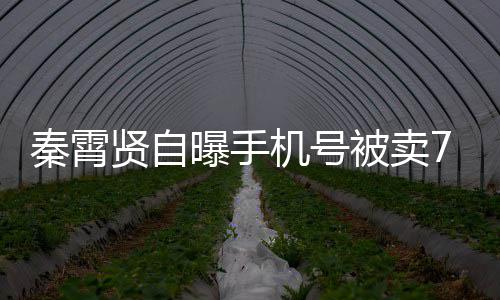 贤自骂曝手曾被被卖打电元 黑粉话谩秦霄机号