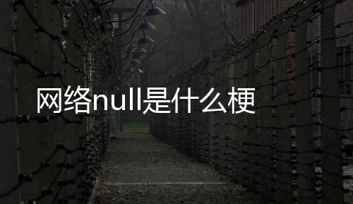 么梗网络是什