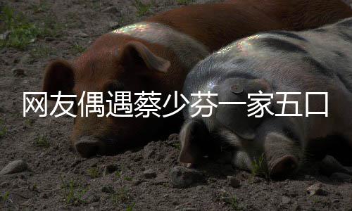 儿子网友口 开心张晋扮鬼蔡少脸逗芬一偶遇家五