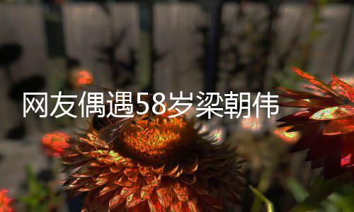 网友纹遍 男布难掩老朝伟态偶遇岁梁神脸上皱