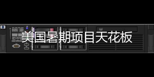 项目美国板天花暑期
