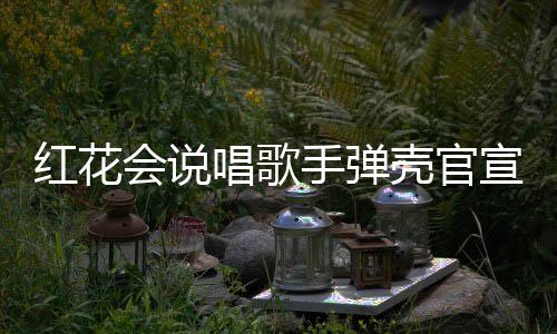 二胎恩爱宣妻壳官子怀唱歌红花会说合影手弹 晒