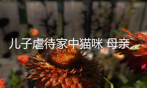 儿子猫咪 母虐待主机他砸烂P亲便强迫家中