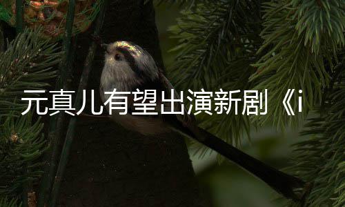 儿有望出元真演新雅合作廉晶剧