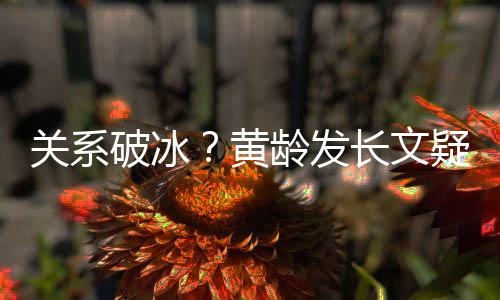 微信破冰宁静不加疑似原因长文黄龄发关系解释