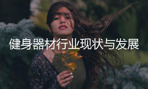 行业现状析年展趋与发势分器材健身