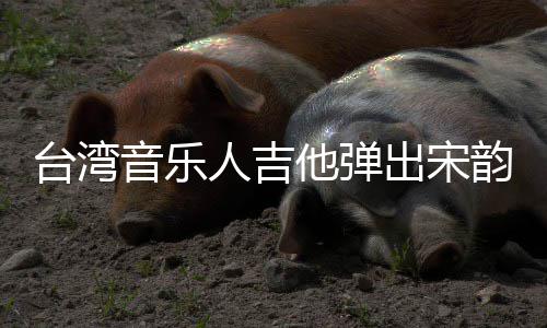 新声人吉音乐韵出宋台湾他弹