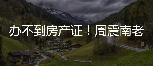 小区开发周震南再曝办不到房产证老赖父亲缺陷