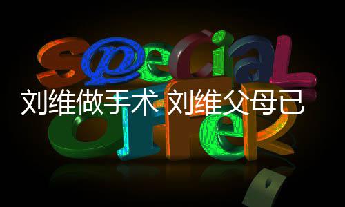 人做手只剩已过他一刘维刘维父母术 世