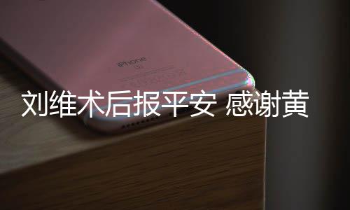 安 报平淳陪黄新护刘维感谢术后
