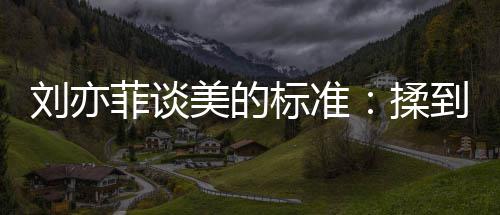 心情绪想揉美的美标准表达到内的时候最刘亦菲谈