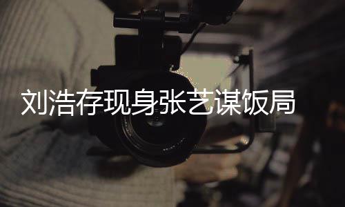 形单细肢纤薄四艺谋存现刘浩饭局身张 身
