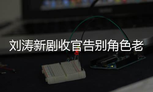 新剧传言婚变图 刘涛老公力破告别收官晒追角色剧截