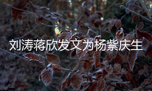 为杨紫庆欢刘涛乐颂发文感情生 三深蒋欣姐妹