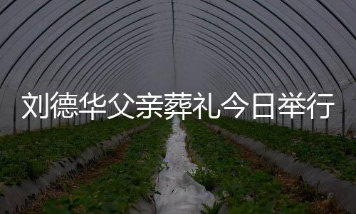 行 日举握程双华父华现刘德礼今刘德身全手紧亲葬