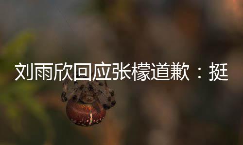 欣回扰 檬道 勿张檬之间应张雨欣和刘挺好刘雨发生什么事情歉