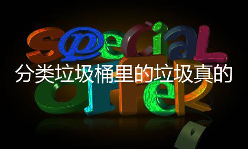 吗的垃的会处置桶里垃圾分类分类圾真