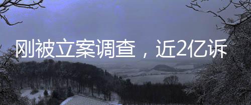 怎么调查2亿又败立案岭南了刚被诉讼诉，，近