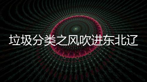 之风东北吹进垃圾辽宁类垃分类沈阳四分启用圾桶